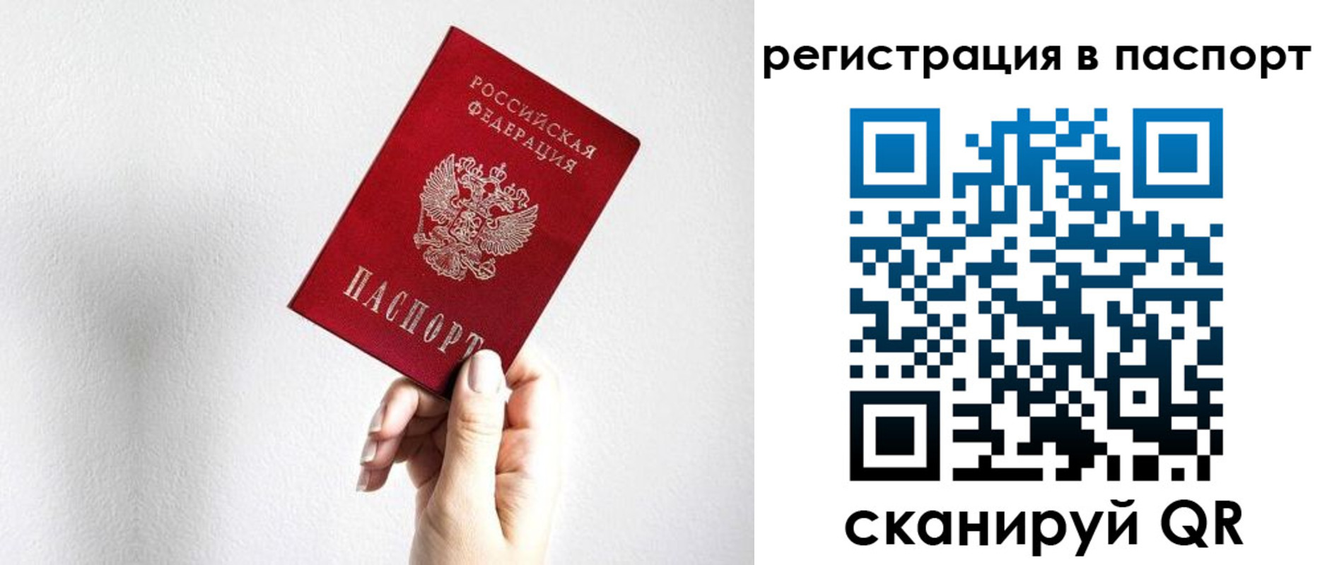 прописка законно в Вязьме